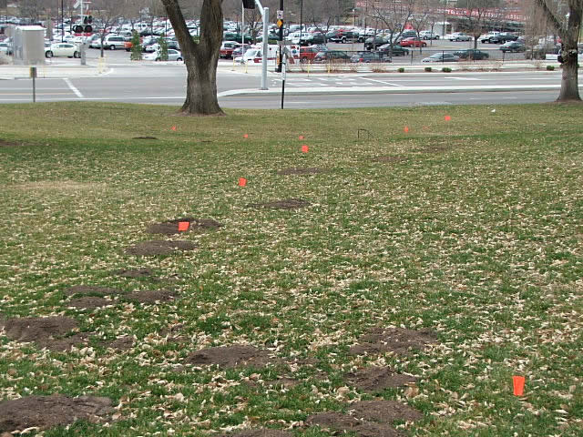 gopher mounds lawn damage